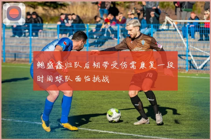 鲍盛鑫归队后韧带受伤需康复一段时间球队面临挑战